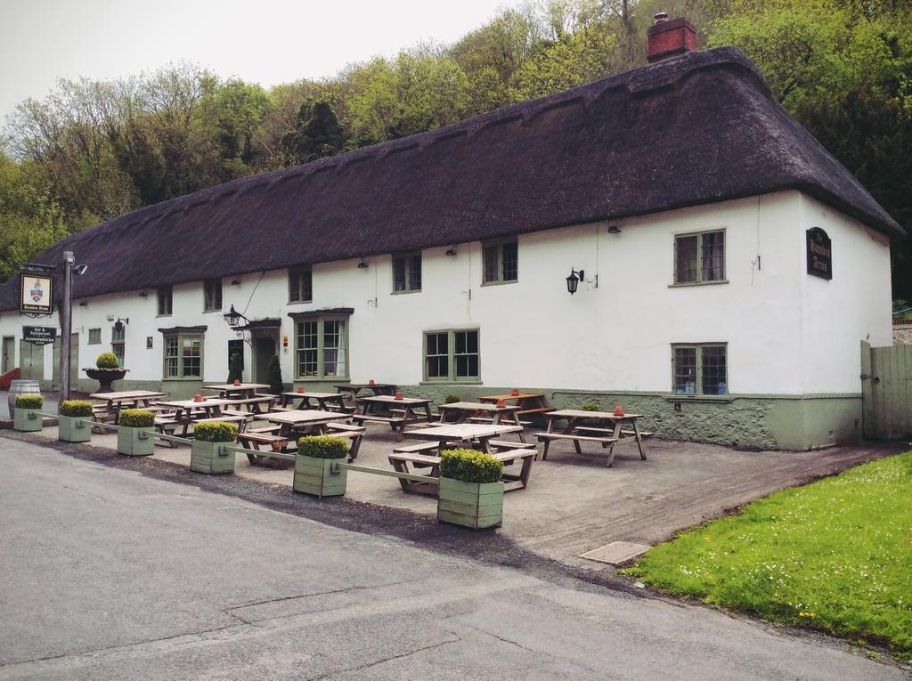Hotel Hambro Arms Milton Abbas Esterno foto