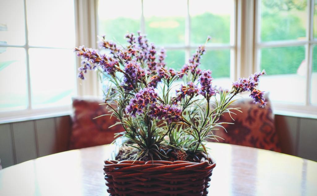 Hotel Hambro Arms Milton Abbas Esterno foto