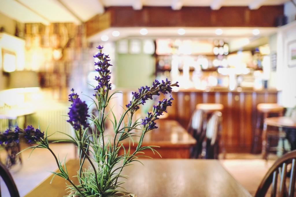 Hotel Hambro Arms Milton Abbas Esterno foto