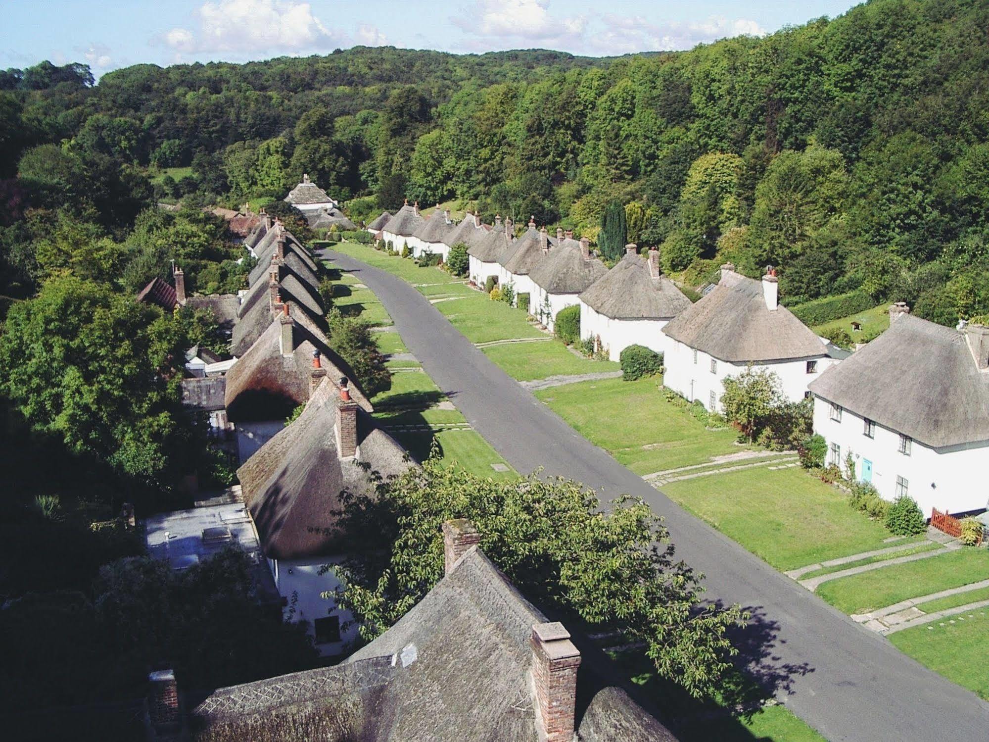 Hotel Hambro Arms Milton Abbas Esterno foto